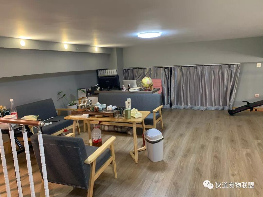 正规宠物培训学校价格多少,宠物培训学校北京哪家好