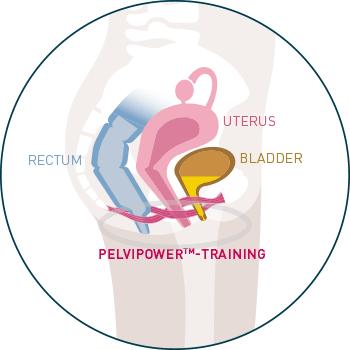 孕中期漏尿是盆底肌受损吗,产前漏尿需要做盆底肌修复吗