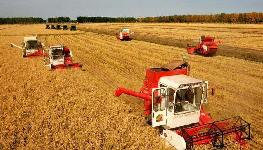 沉淀6年，赋能加速，丰农控股：构建农服行业独角兽公司