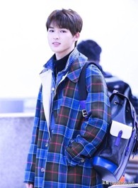 ninepercent为什么会解散,ninepercent解散后各自都如何发展