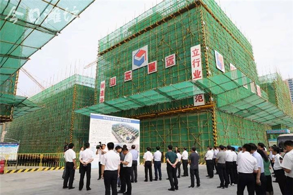 潍坊市乡村振兴方案,潍坊乡村振兴村庄项目