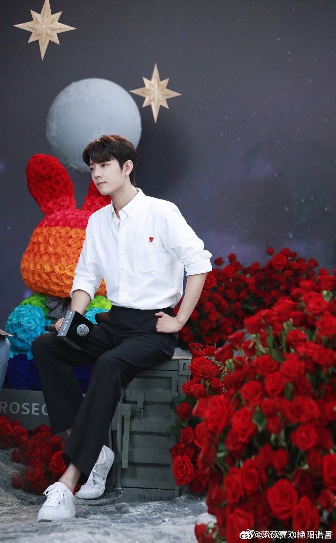 肖战代言roseonly直播间,肖战roseonly直播读信