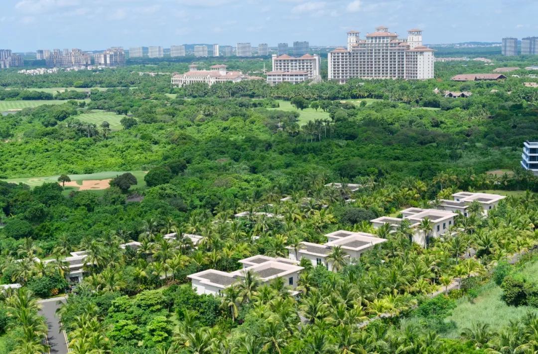 顿顿人均50以下,我在海口吃出了满满的幸福感