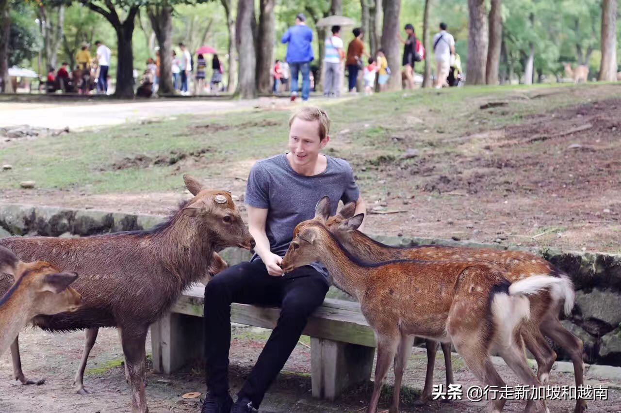 日本第一次旅游是去大阪还是东京,关西大阪奈良京都自由行
