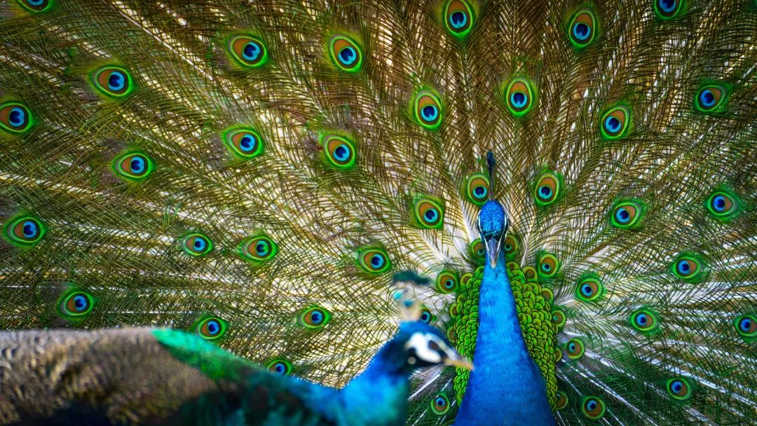 这个真实存在的古村落美如仙境,沂蒙山风景区内的古村落