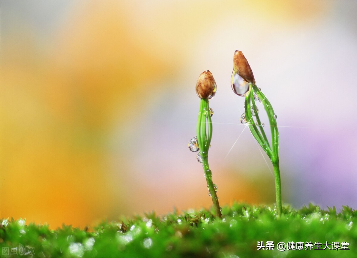 上火肝火太旺怎么办,上火心火肝火旺盛怎么调理去肝火