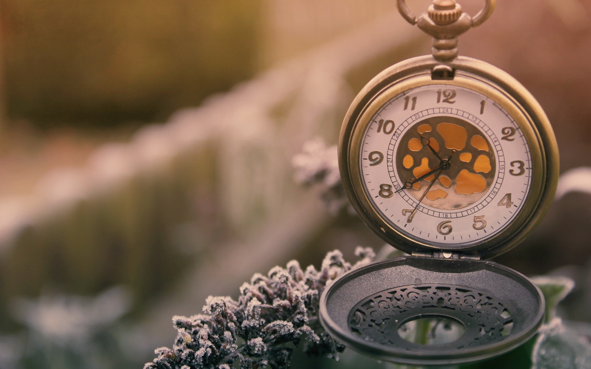 人到中年远离的3种人,人到中年远离这3种人余生顺遂