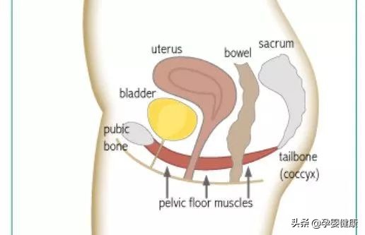 Ella告诉你,生娃以后的“屎尿屁”