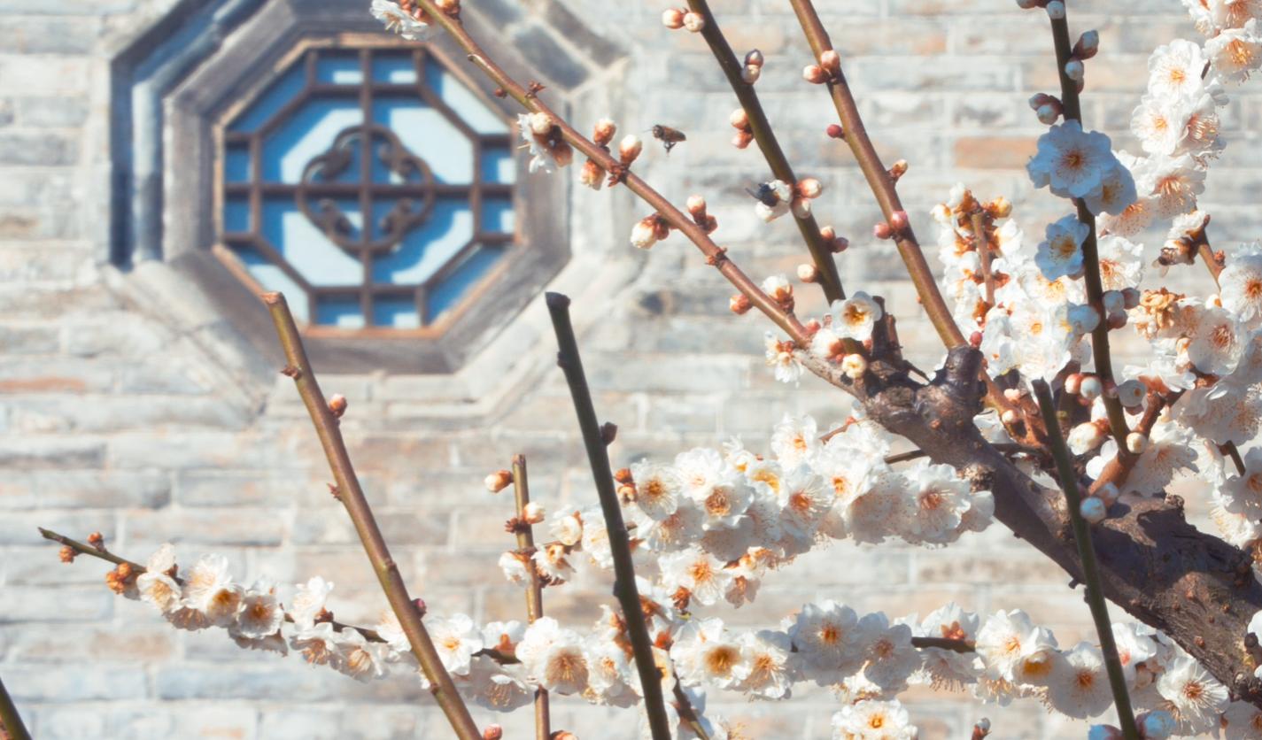 安心居家欣赏美景,郑州二七区樱桃沟管委会美丽乡村
