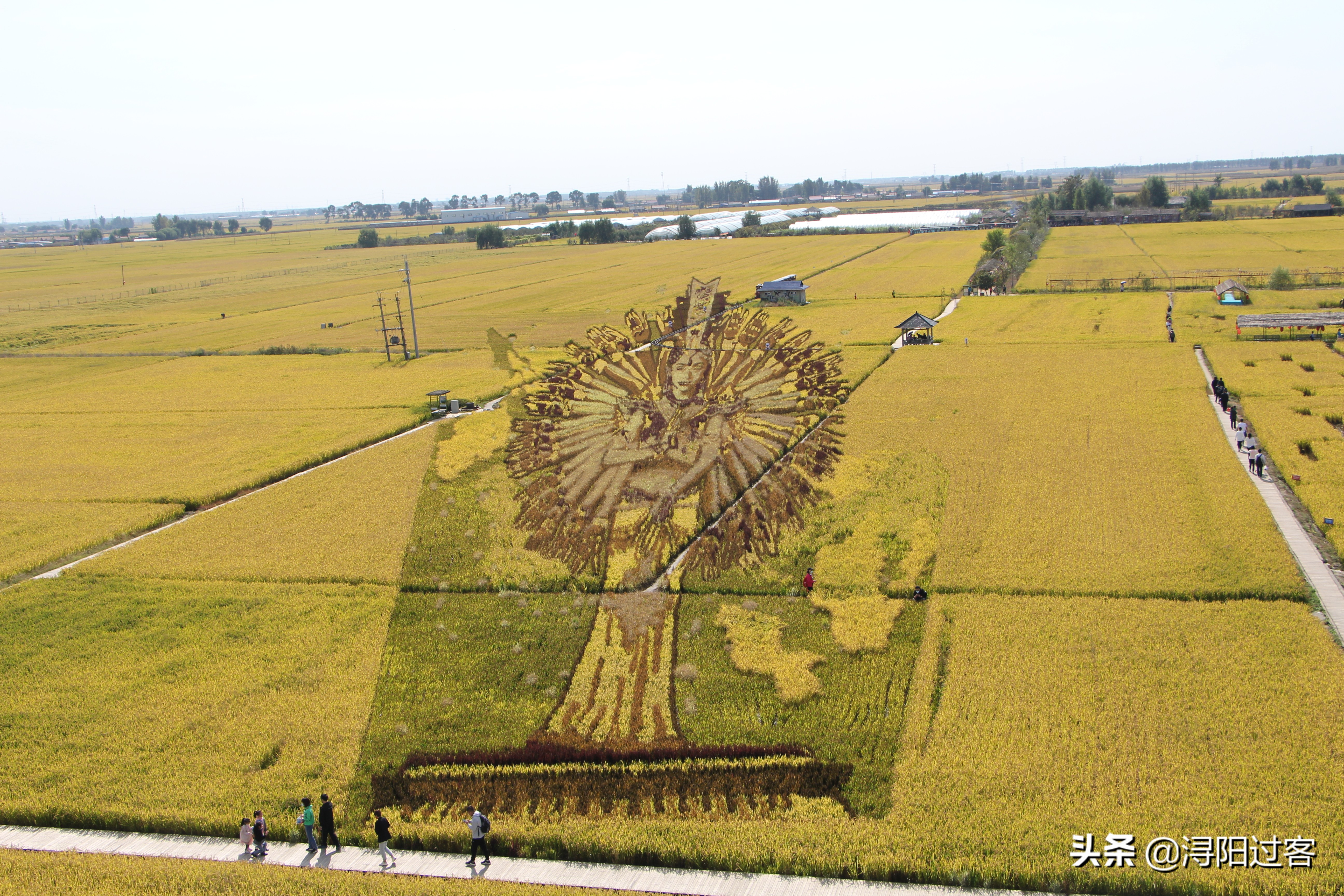 沈阳稻梦空间小火车,沈阳稻梦空间怎么样