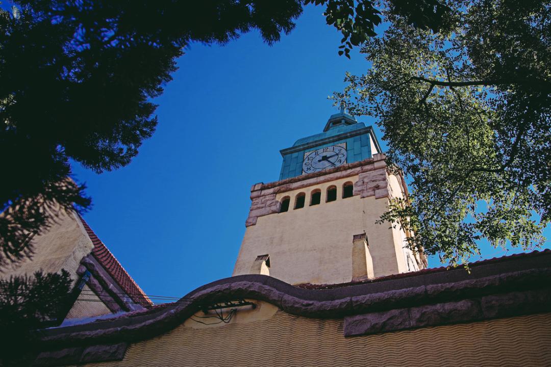 海滨老城泡桐花 (海滨老城紫色泡桐花)