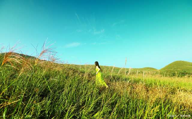 手机屏幕的疏油涂层寿命,手机屏幕的疏油涂层怎么会消失