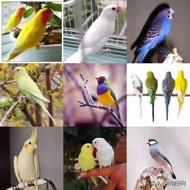 湄洲岛好玩还是九龙谷,去莆田先到九龙谷还是湄洲岛