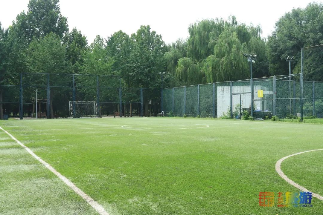 免费！市区就有“小森林”，花海芳香扑鼻！还有美好的祝福送给你