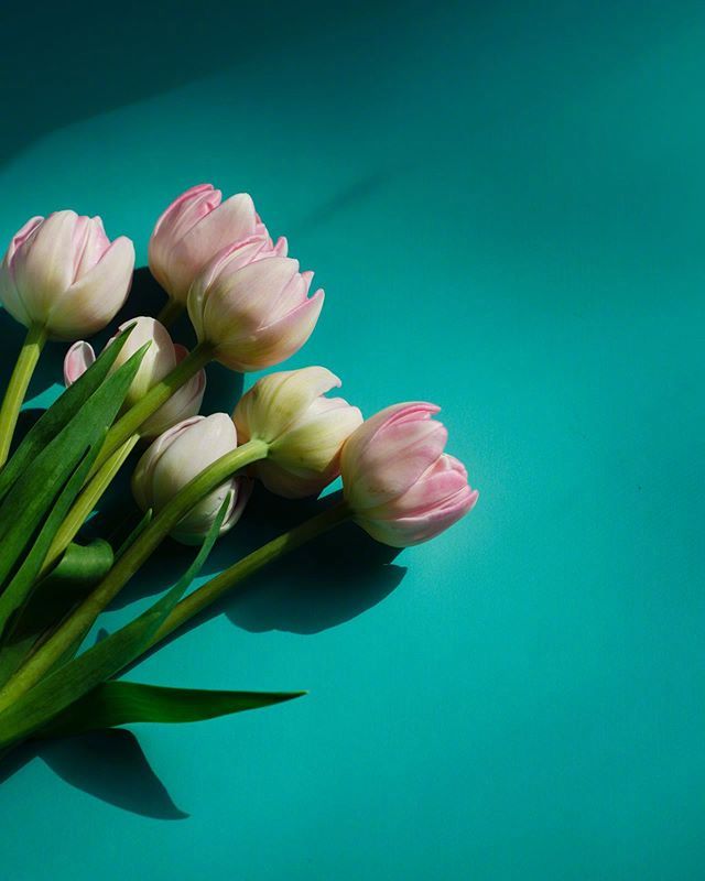 比水还干净的治愈句子句句温暖,比水干净的经典句子