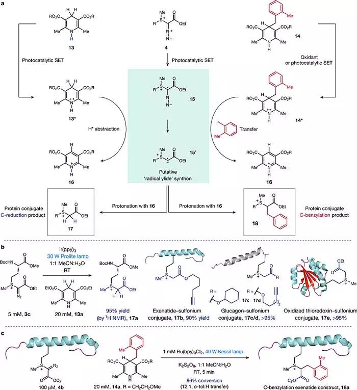 nature蛋白质识别,nature蛋白质作用