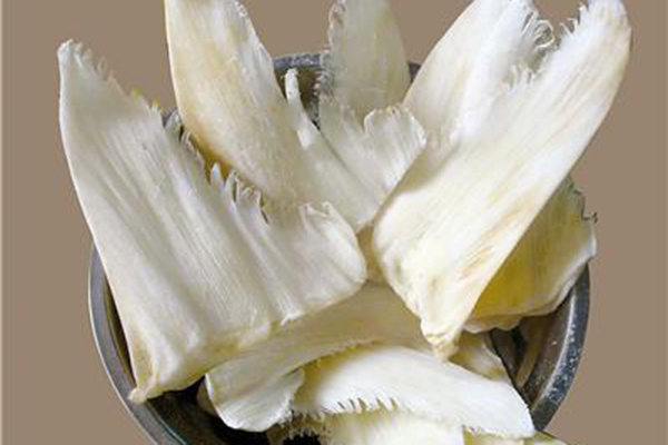 燕窝海参营养价值,鱼翅和海参哪个营养价值高