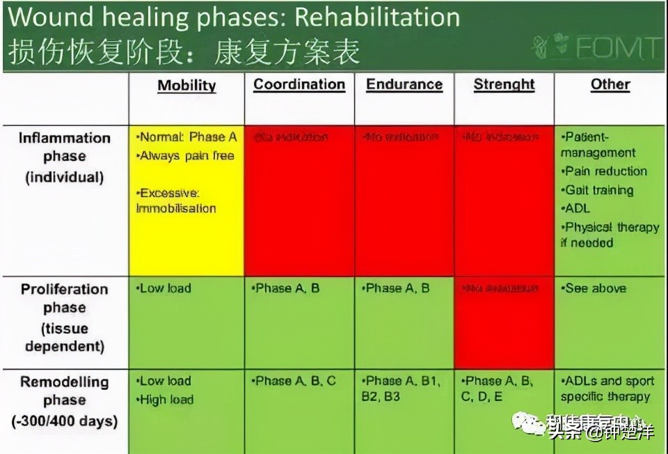 什么是运动康复mtt,什么是运动康复技术行业