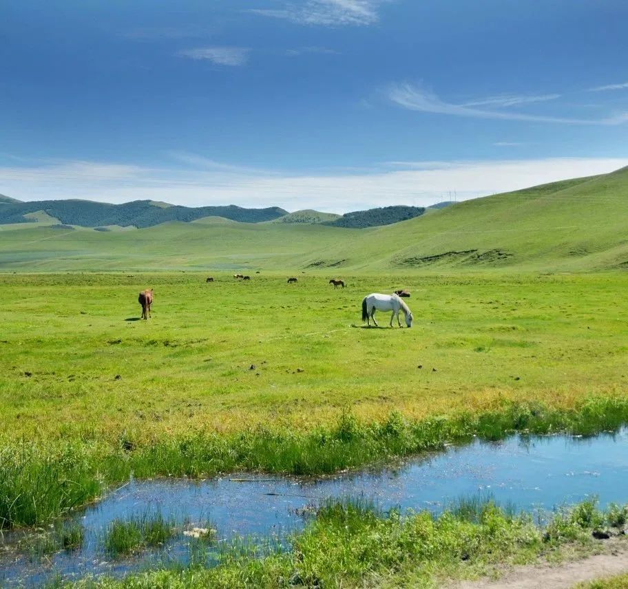 中国天路震撼视频,中国十大惊艳的天路