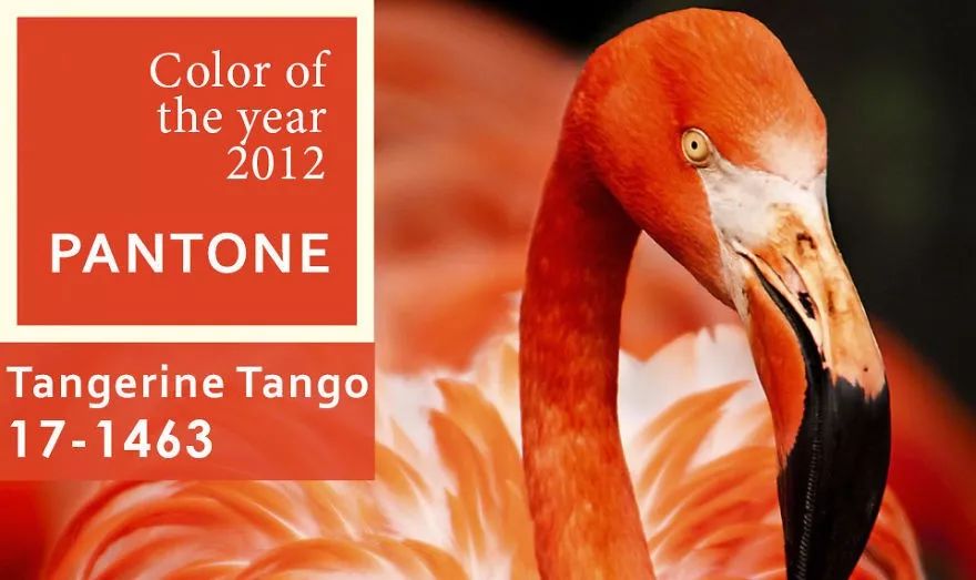 pantone潘通色号,pantone潘通发布2016年度流行色