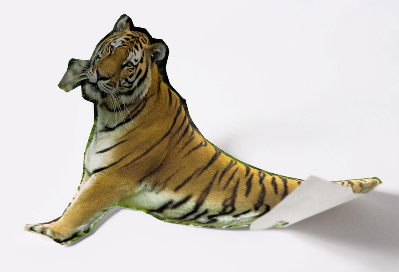 面试官：羊看见老虎为什么不怕，反而把老虎吃掉了？女大学生妙答