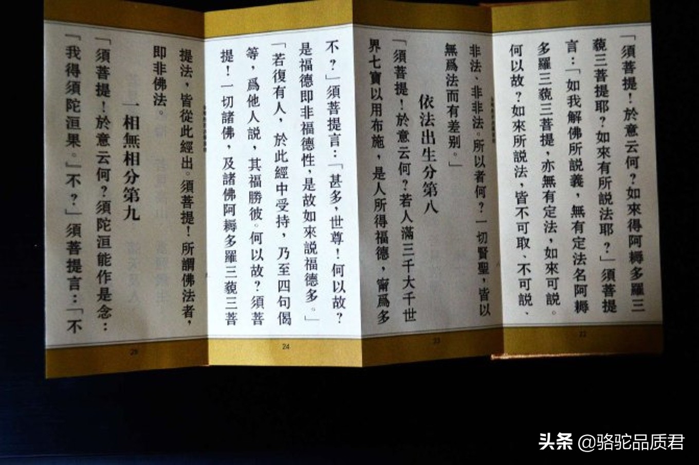 厦门海边之旅,厦门小众旅游体验