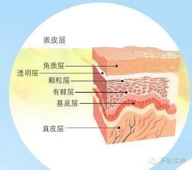 带你了解斑点产生原因,科普斑点治疗