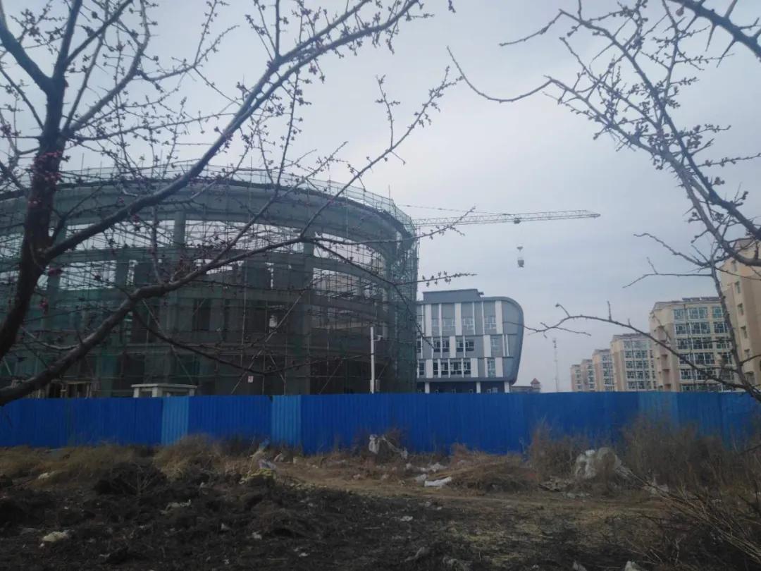 万全实验小学怎么样,万全镇新学校什么时候盖