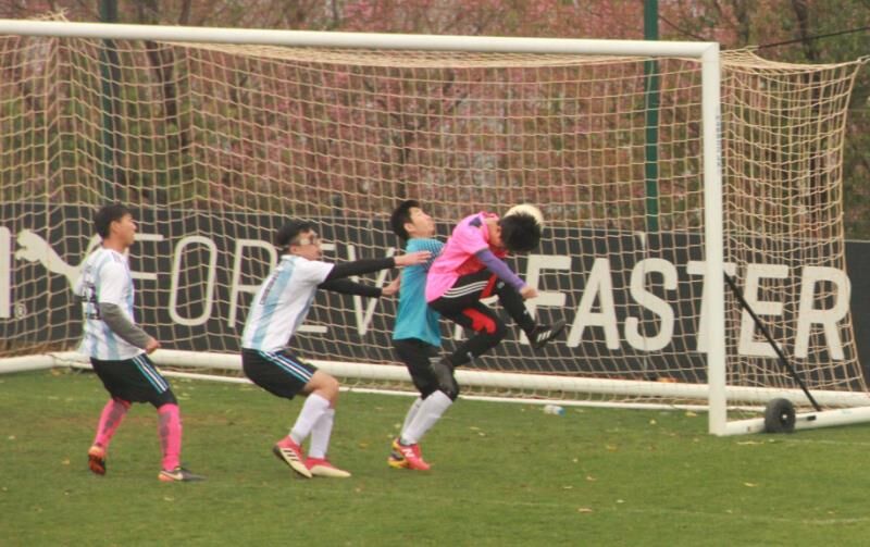 昆明2021阳光足球联赛,昆明阳光体育联赛