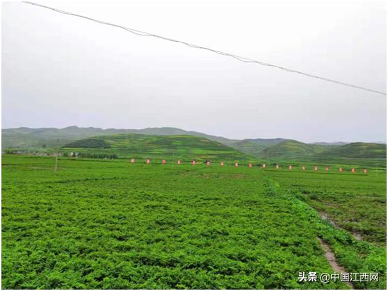 汇仁工厂供应链,汇仁药业极致品质从源头开始