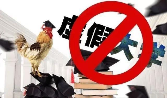 为什么查询不到学历信息,为什么查询不到学历