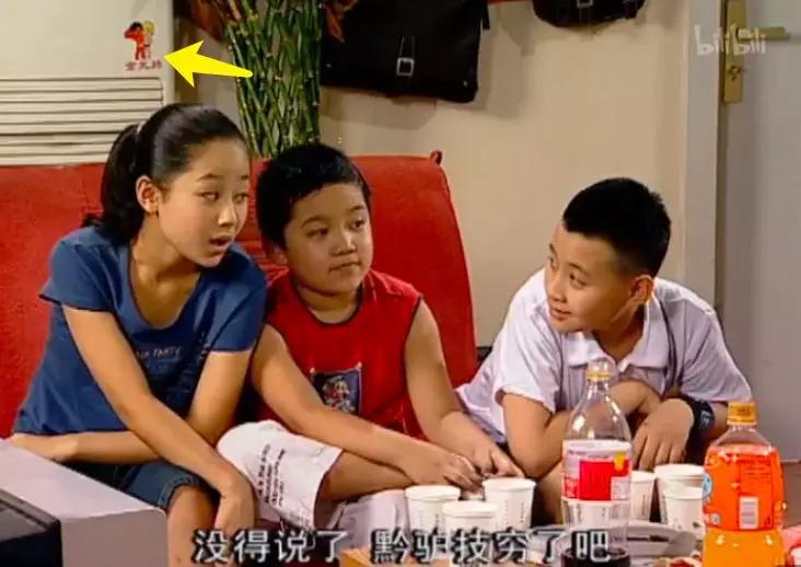 家有儿女刘星家到底是多有钱,家有儿女刘星家究竟多有钱