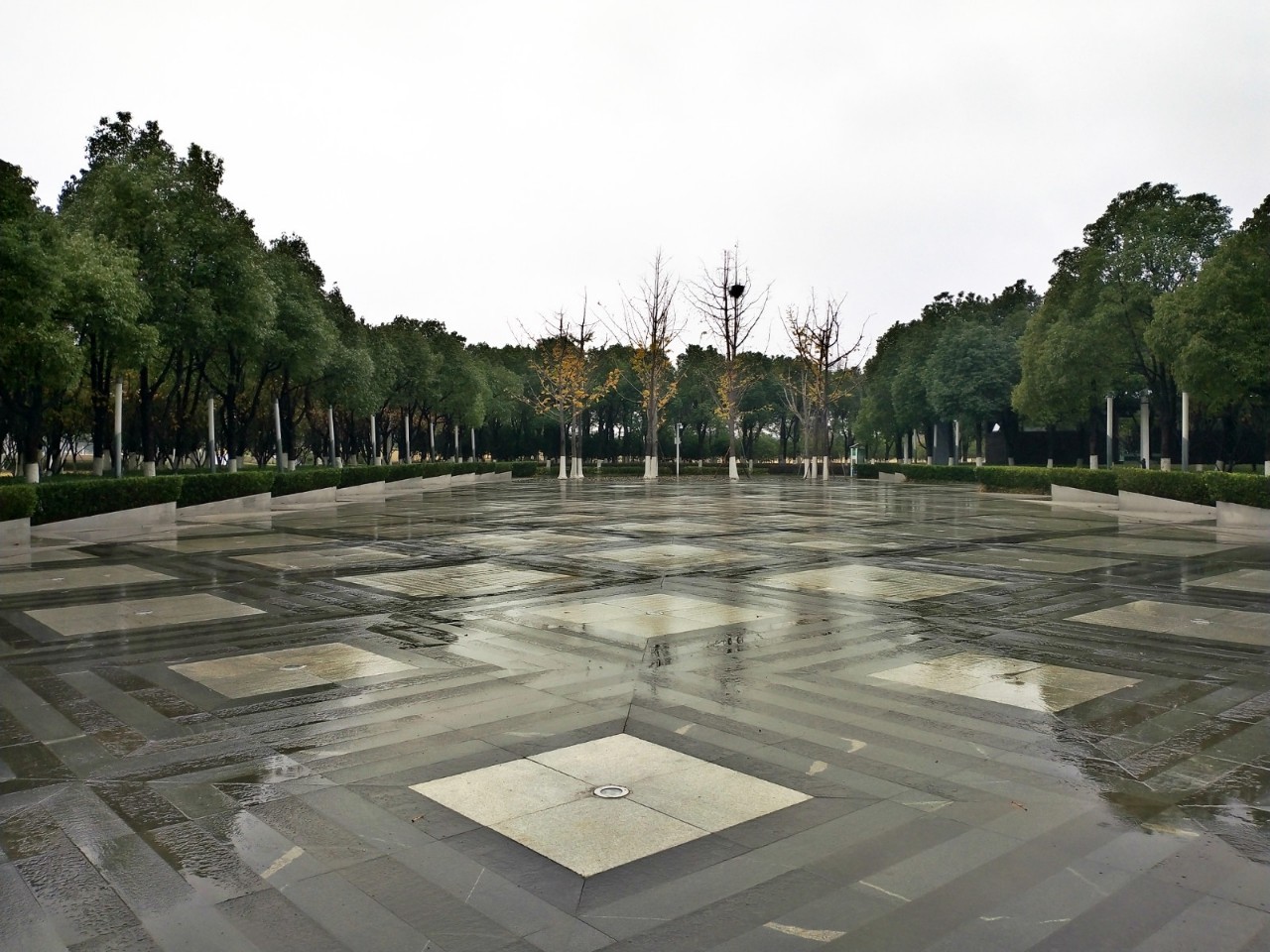 紫东麒麟最新消息,麒麟备货曝光