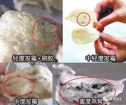 燕窝发黄能吃吗,燕窝有霉味但没有发霉