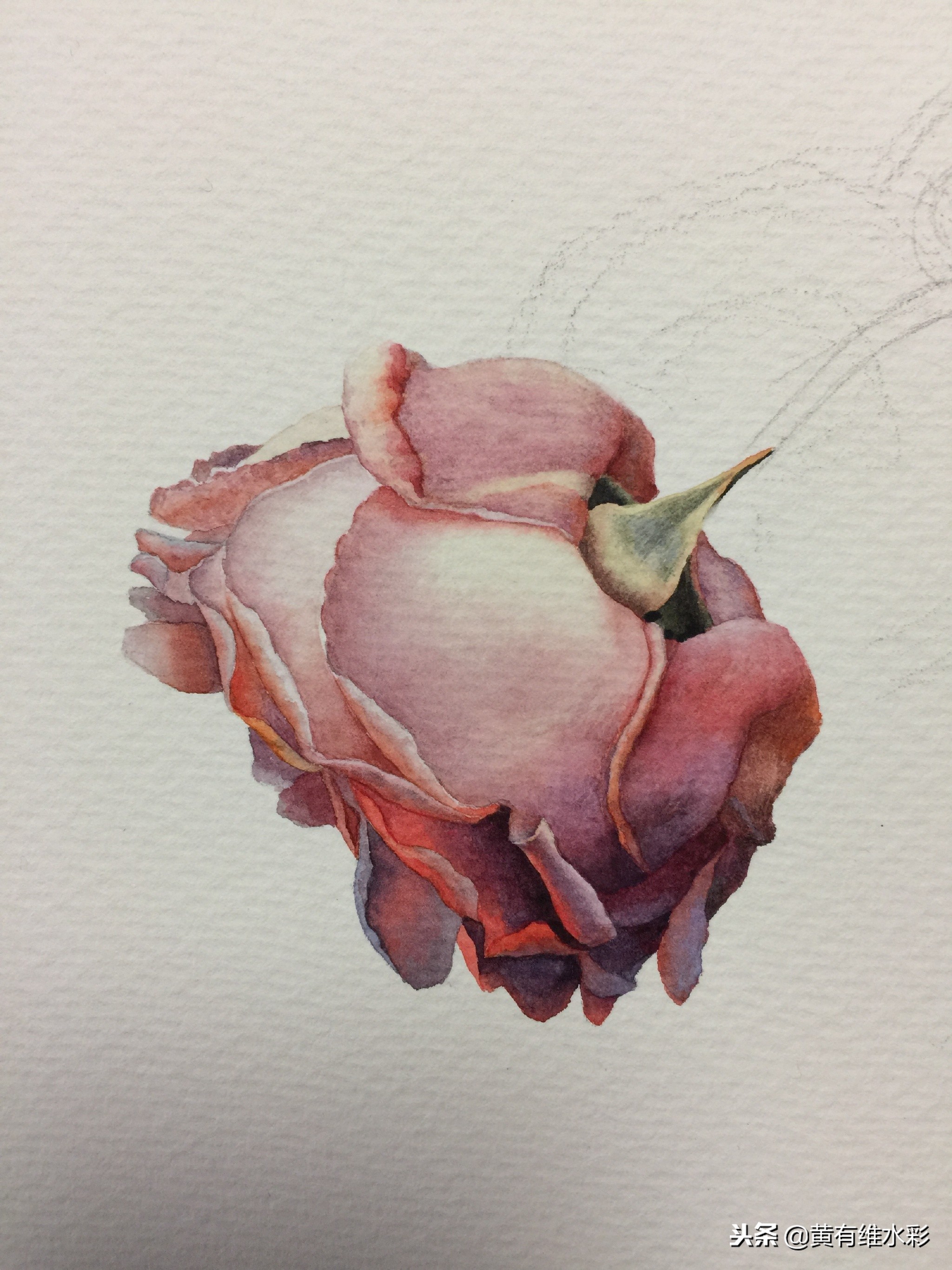 水彩教程简单好看手绘图片,水彩教程画花