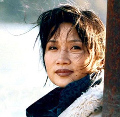 李娜韩红对比,李娜韩红的实力