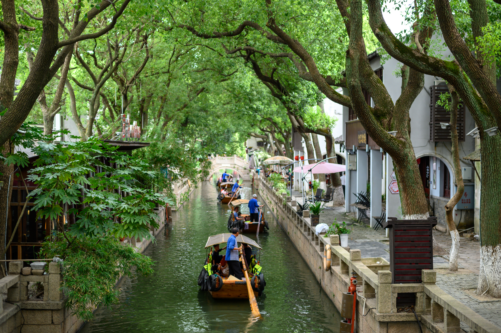 苏州同里古镇和周庄哪个好玩点呢,周庄古镇与同里古镇哪个更值得去