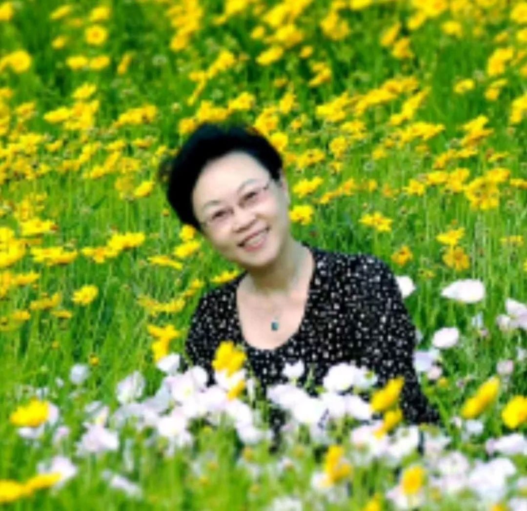 蒲公英的约定美文,蒲公英的约定书单