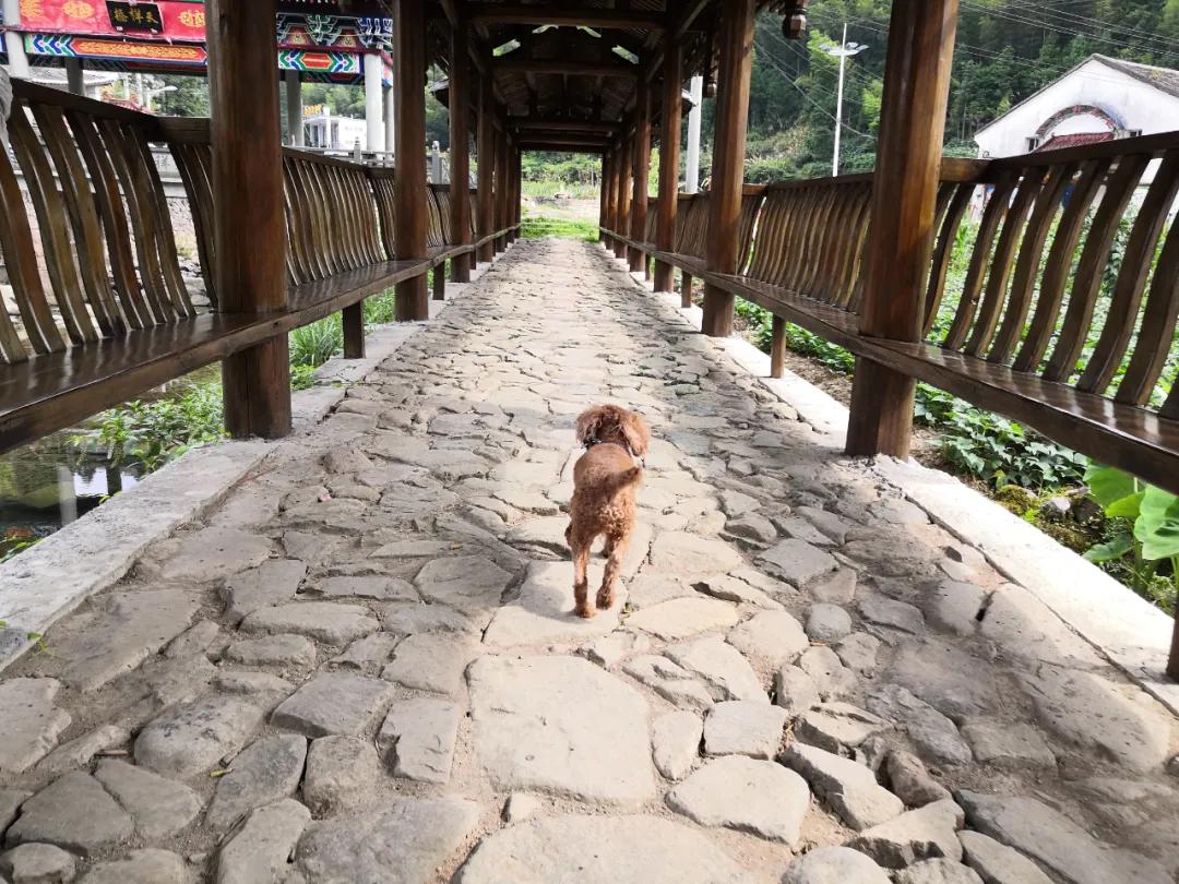 我要去旅行英文,我要去旅行完整版