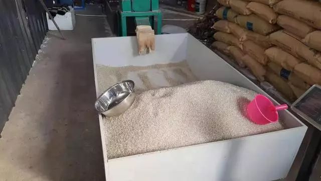 事发南城！假冒“奥妙、立白、蓝月亮”，都在这里生产