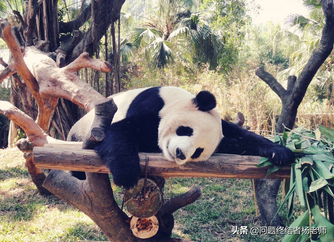 英语的副词是什么意思,英语的副词放在句子哪个位置