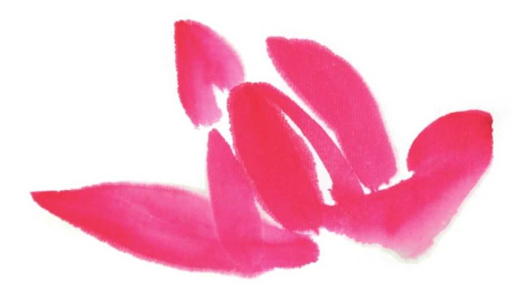 国画刘存惠荷花画法全视频,国画山水画教学视频荷花画法