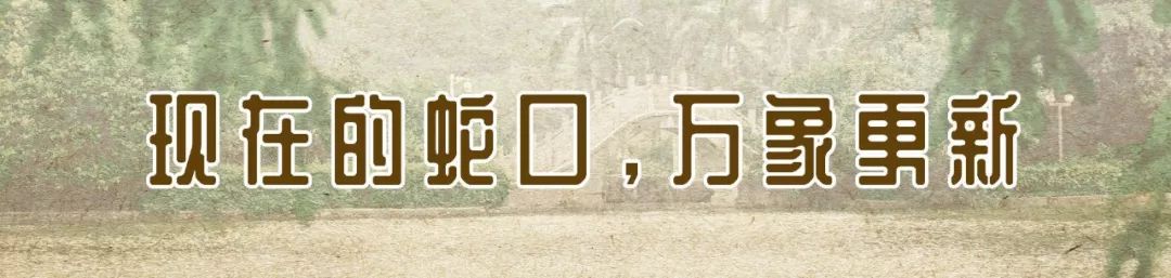 现在的蛇口,南头蛇口