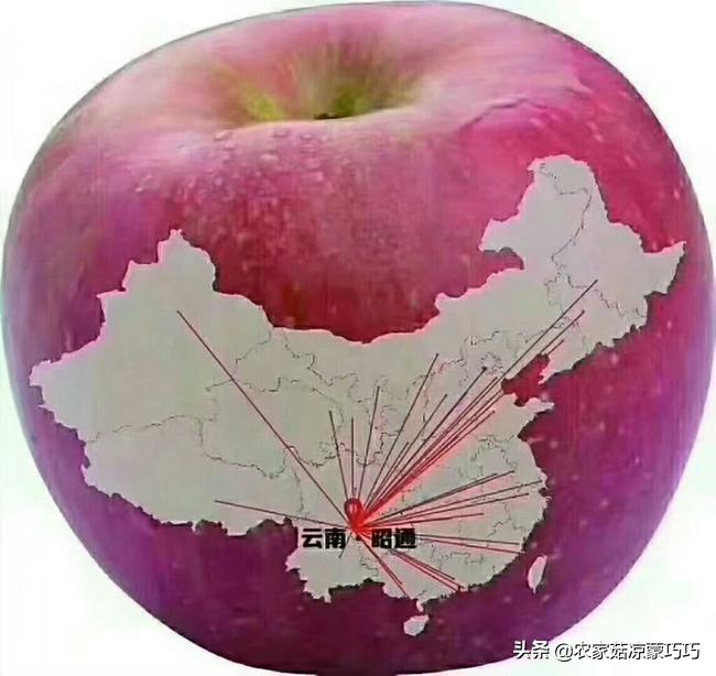 中国有几个昭通,中国有多少个昭通