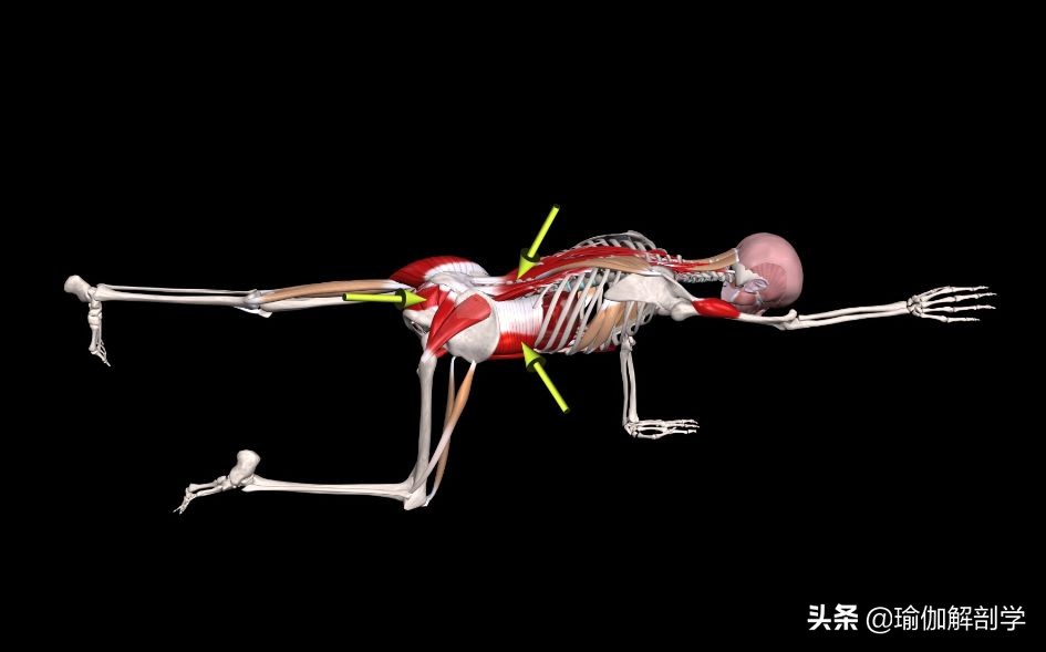 腰椎间盘突出适合练瑜伽哪些动作,腰椎间盘突出做什么瑜伽可以恢复