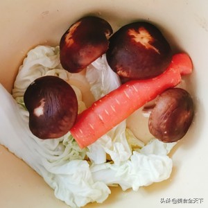 新手小白也能做成功的烧麦,包烧麦又快又好看方法