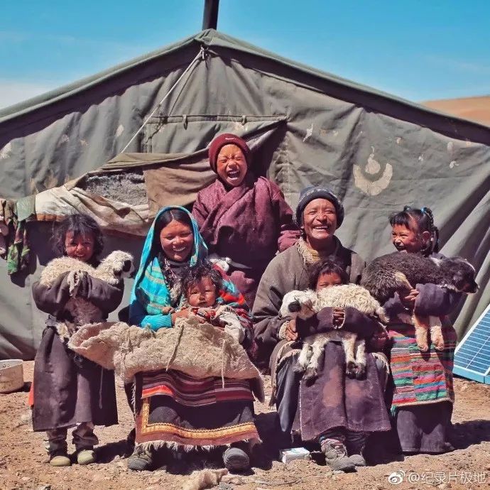 极地大型纪录片,纪录片极地生灵