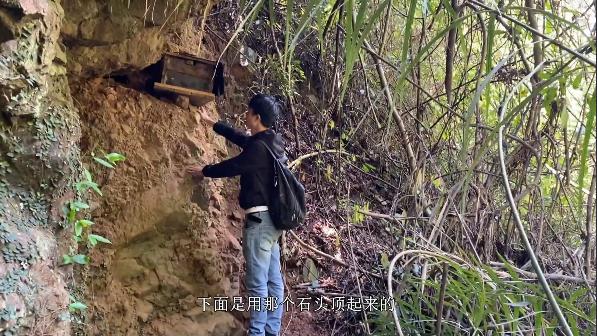 怎么样放诱蜂箱不被寻蜂人找到,秋季诱蜂箱放在哪些地方容易来蜂