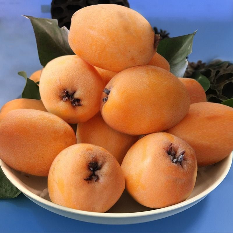 芒种种出新希望,芒种和幸福播种