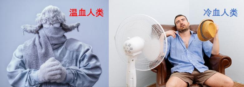 6000万年前生物大灭绝迹象,恐龙灭绝的三种推测